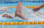 natation 