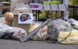 La Casud : 150 kg de déchets collectés à L’Entre-Deux pour le World CleanUp Day