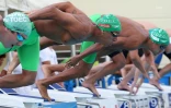 natation 