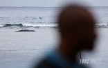 baleineau bloqué dans le lagon 