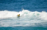 Eurosurf Junior