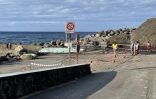 phoque échoué