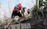 Grand Raid 2019