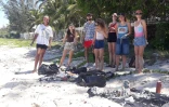 Saint-Paul : brosses à dents et casque de chantier, les bénévoles de l'association Surfrider nettoient la plage