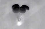 Capture d'écran montrant la capsule Crew Dragon de SpaceX, parachutes ouverts, en train de descendre vers la Terre, le 2 mai 2021