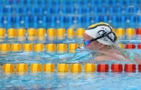 Meeting natation 2015