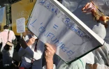 manifestation incinérateur devant la région 