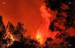 Feu du Maïdo