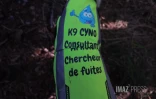 Chien chercher de fuites d'eau