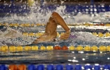 interclub natation 28 novembre 2020