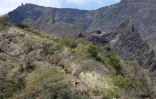 Grand raid