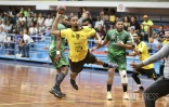 Finale des Championnats de La Réunion de handball
