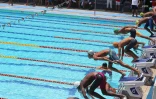 meeting natation 2015