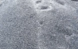 givre à la plaine des sables