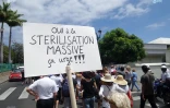 Ils manifestent pour une stérilisation massive