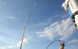 Perche à Boucan 