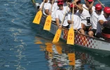 Dragon boats au port 2016