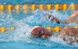 meeting natation 2015