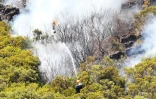 Feu du Maïdo