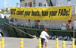 Greenpeace