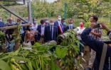 Le Ministre des Outre-mer souligne l'importance d'AGRIPéi 2030