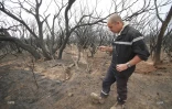 Feu du Maïdo