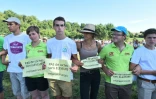 Des jeunes agriculteurs dénoncent les bas prix du lait le 27 août 2016, à Mareil-en-Champagne (nord-ouest)