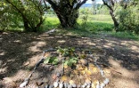 Land art