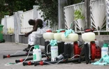 Chikungunya