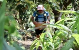 Grand Raid 2023