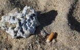 cigarettes