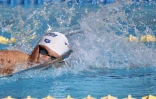 Natation comité régional Championnat hiver