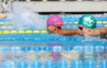meeting natation 2017