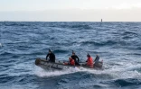 Vendée Globe : Kevin Escoffier récupéré par le Nivôse et en route pour La Réunion