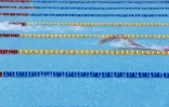 Championnats Natation Plateau Caillou