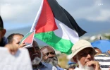 Manifestion palestine
