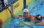 Natation 