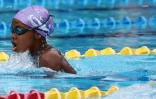 meeting natation 2017