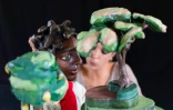 Le Port : "Kadadak", le nouveau festival du Théâtre sous les Arbre 