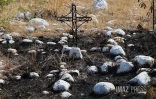 Cimetière la peste au Port