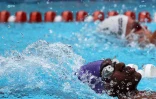 Natation 