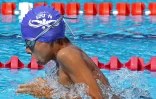 Natation