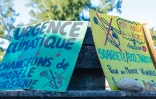 À Saint-Pierre, des associations mobilisées contre les "survols touristiques motorisés