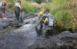 Sécheresse : le Sud Sauvage totalement à sec, poissons et crustacés en danger