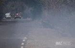 Feu de broussailles à Savannah Saint-Paul