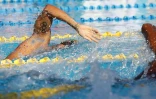 meeting natation 2017