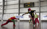Coupe de canne de combat