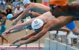 meeting natation 2017