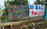 Concours fleurs des écoles Saint-Paul