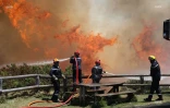 Incendie du Maïdo 8 novembre 2020